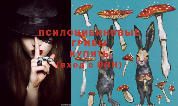 кокс Михайлов