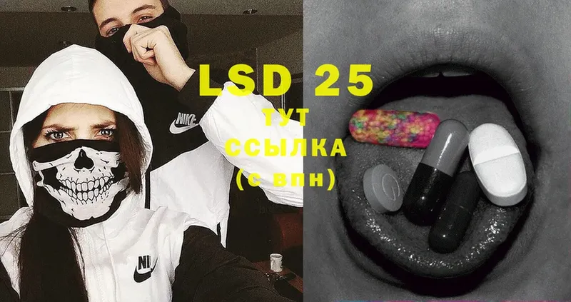 наркота  Курск  LSD-25 экстази ecstasy 