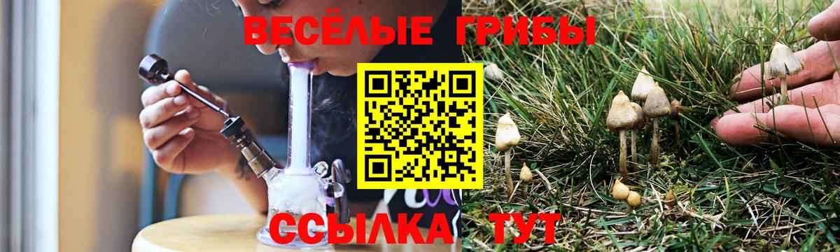 Галлюциногенные грибы Psilocybe  Вход с VPN  Курск 